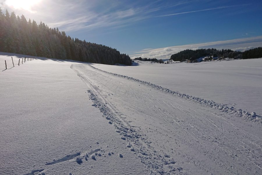 piste de ski de fond